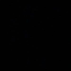 Meet your Posher, Sergio